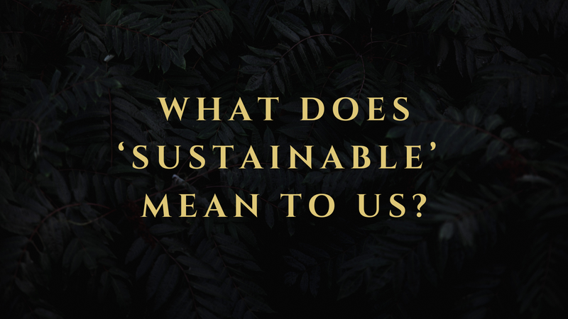 image with text reading what does sustainable mean to us